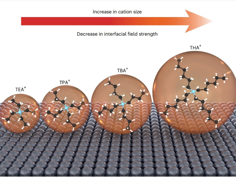 01.10.25 Resasco catalysis