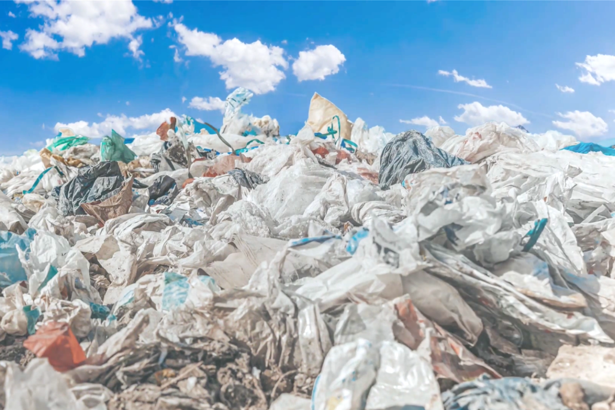 Plastic waste found chemically bonded to rocks in China