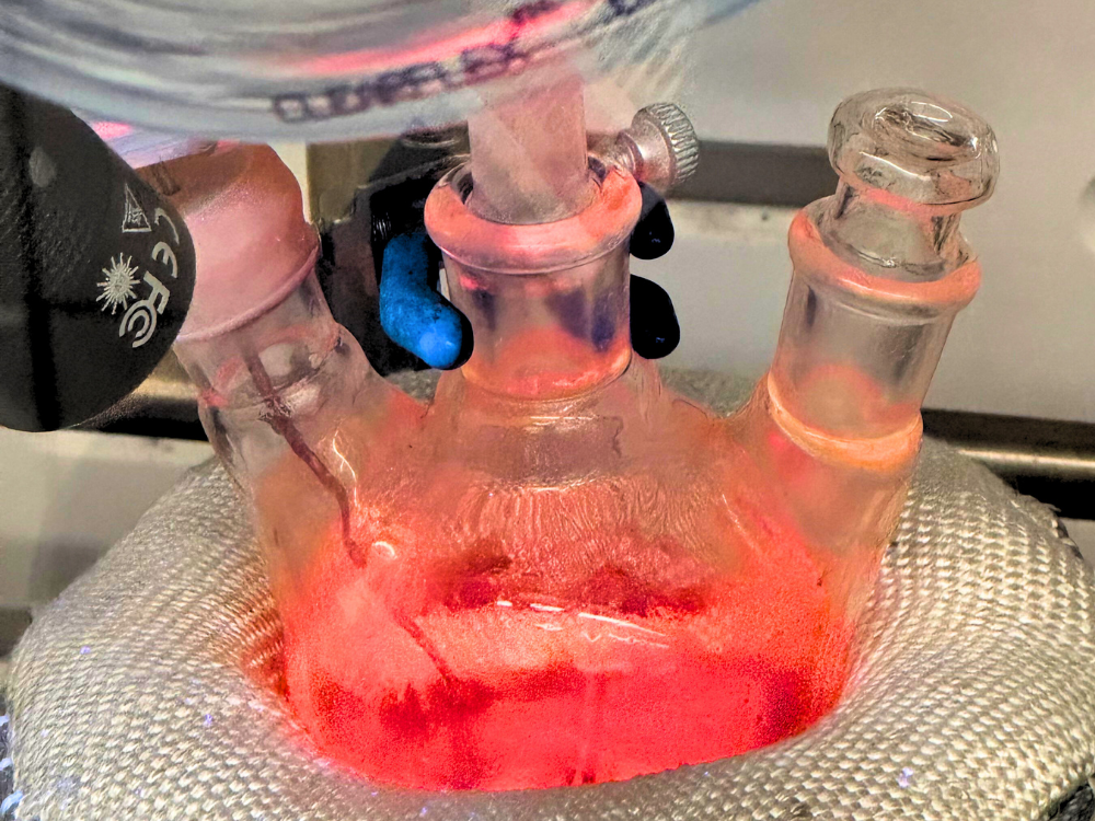 Experiment in beaker
