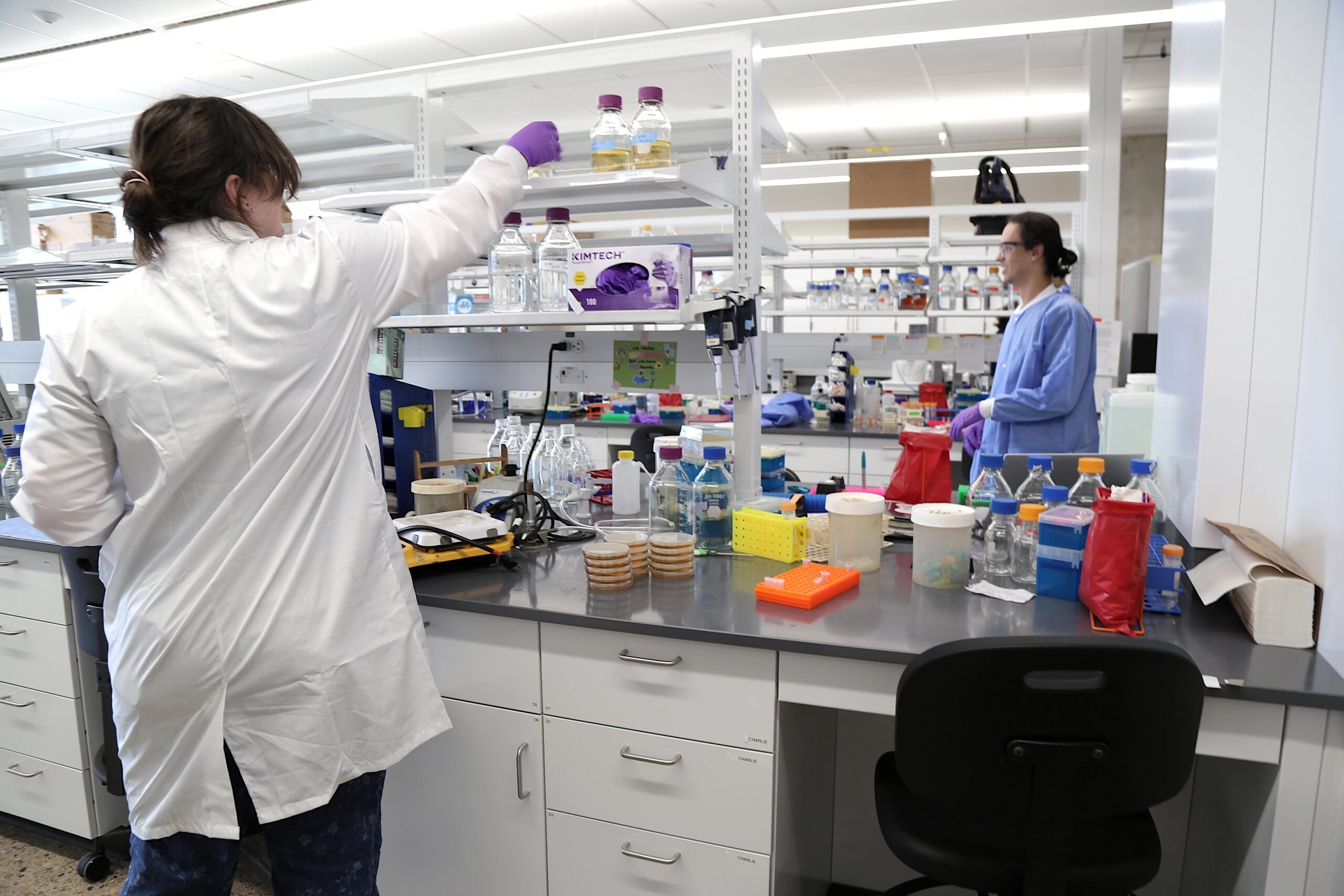 Ph.D. candidates in Dr. Jennifer Maynard's lab.